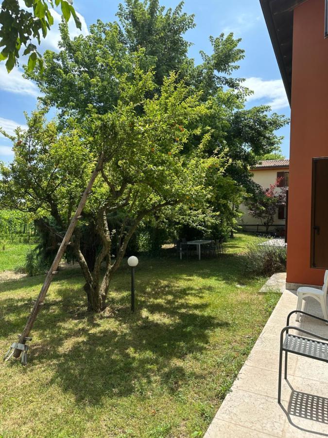 Agriturismo Fioravante San Pietro in Cariano Dış mekan fotoğraf