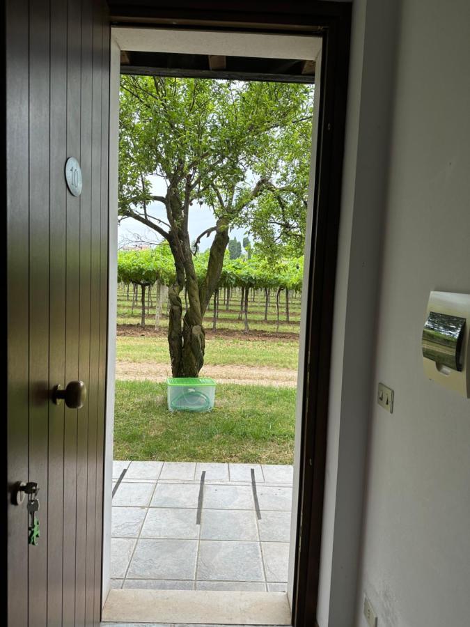 Agriturismo Fioravante San Pietro in Cariano Dış mekan fotoğraf