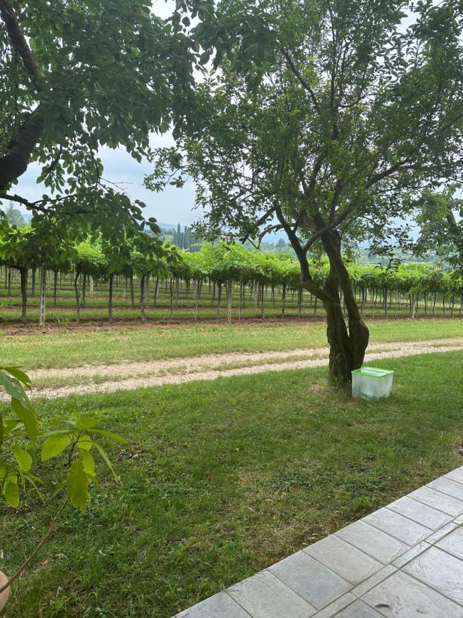 Agriturismo Fioravante San Pietro in Cariano Dış mekan fotoğraf